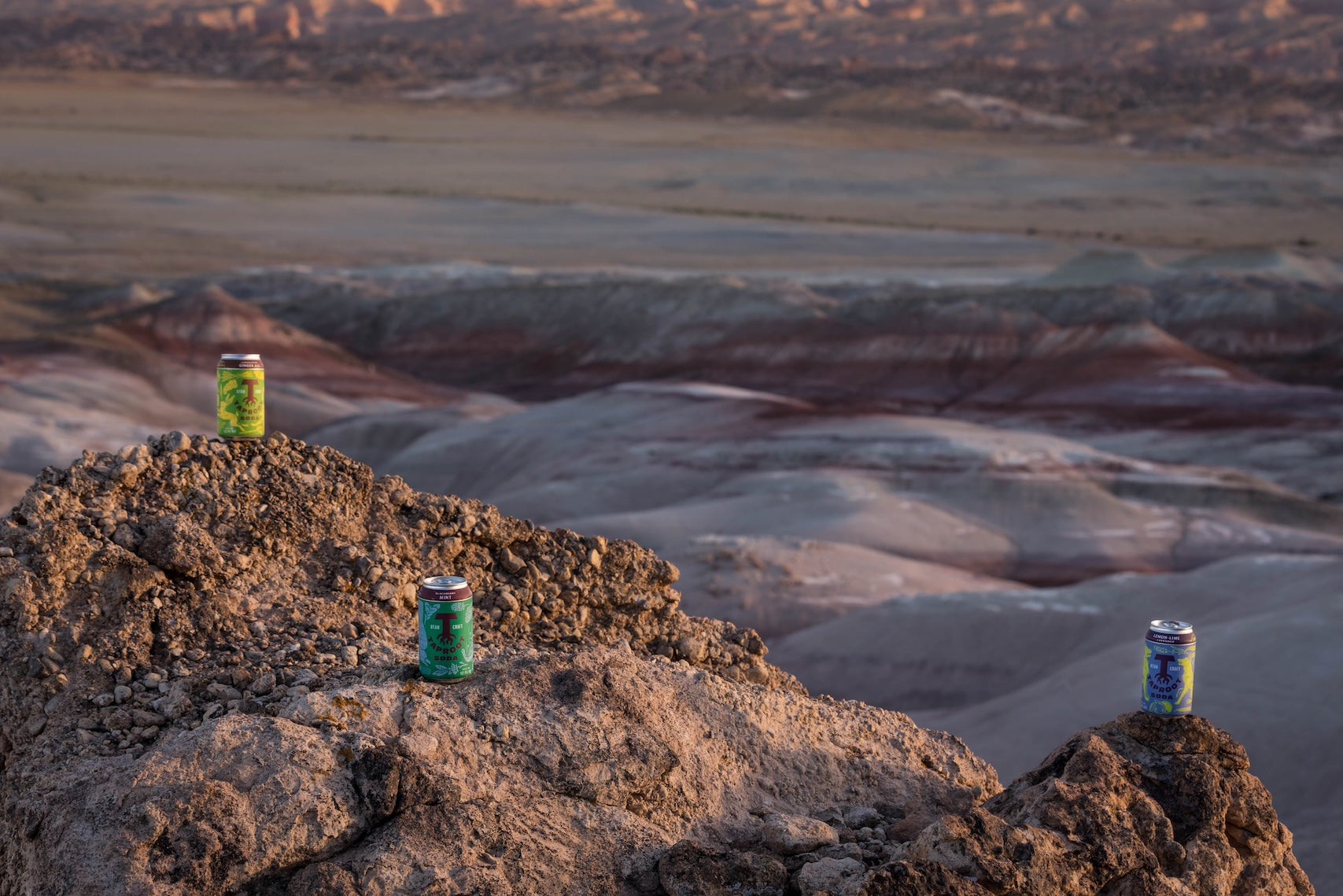 Three cans on rocky outcrops with a desert landscape in the background