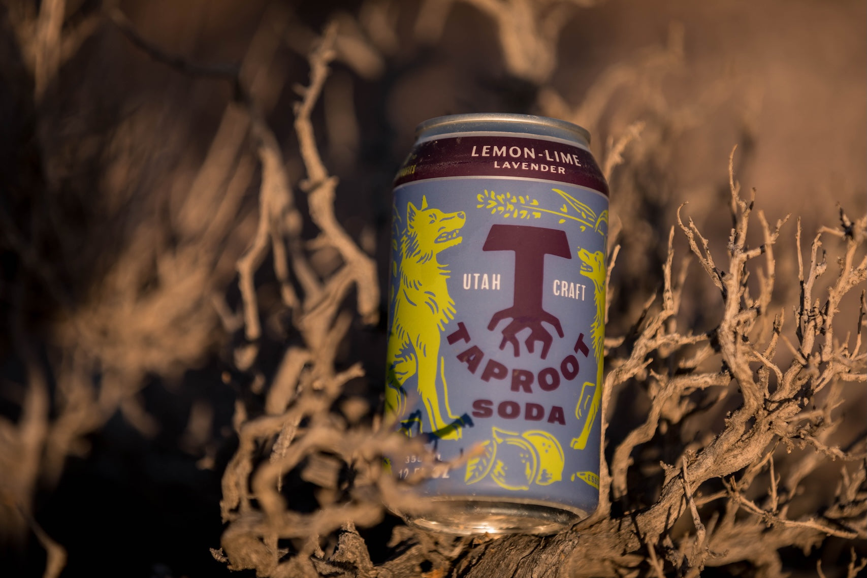 Can of Utah Craft Taproot Soda with lemon-lime lavender flavor on a textured background